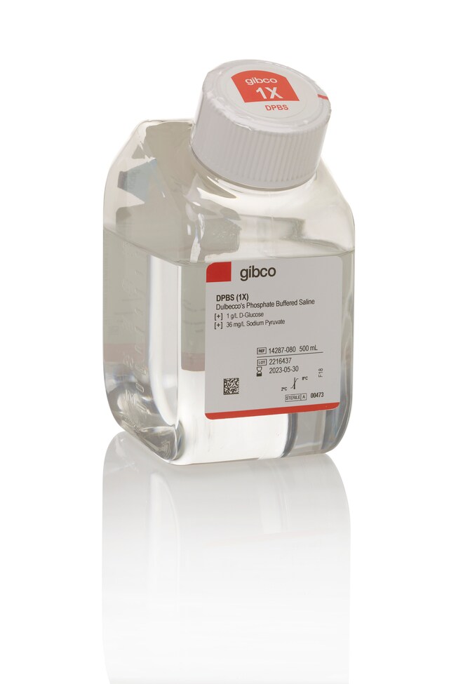 Gibco DPBS Calcium Magnesium Glucose Pyruvate 500 ML Buy Online 